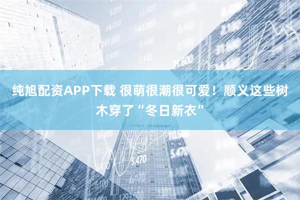 纯旭配资APP下载 很萌很潮很可爱！顺义这些树木穿了“冬日新衣”