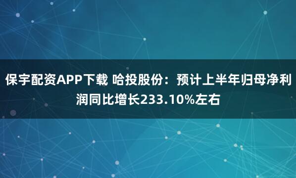 保宇配资APP下载 哈投股份：预计上半年归母净利润同比增长233.10%左右